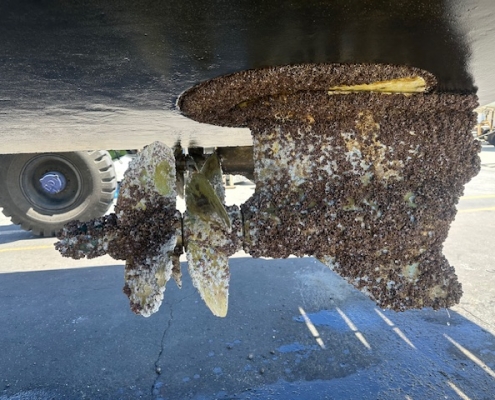 Boat propeller that needs maintenance.