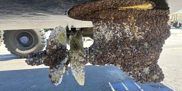 Boat propeller that needs maintenance.